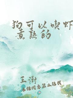 狗可以吃虾肉吗 煮熟的