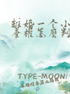 离婚一个小孩抚养权怎么判