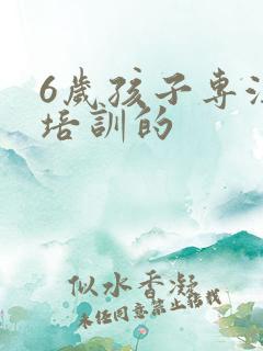 6岁孩子专注力培训的