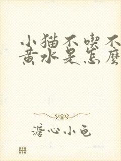 小猫不吃不喝吐黄水是怎么回事