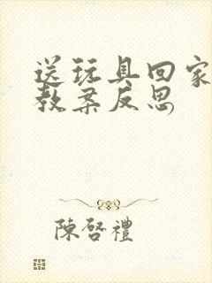 送玩具回家小班教案反思