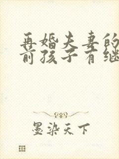 再婚夫妻的财产前孩子有继承权吗