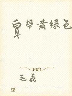 白带黄绿色,恶臭