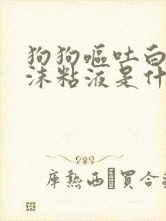 狗狗呕吐白色泡沫粘液是什么原因