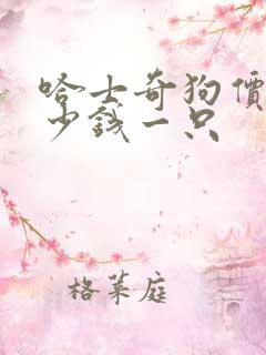 哈士奇狗价格多少钱一只