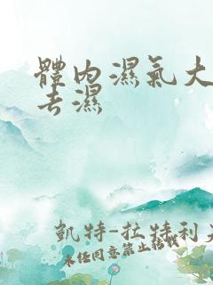 体内湿气大怎么去湿