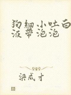 狗细小吐白色粘液带泡泡