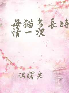 母猫多长时间发情一次