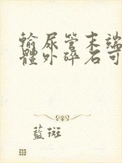 输尿管末端结石体外碎石可以吗