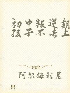 初中叛逆期的男孩子不去上学怎么去引导