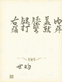 右腿膝盖内侧疼痛打弯就疼为什么