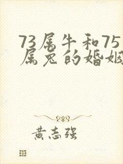 73属牛和75属兔的婚姻如何