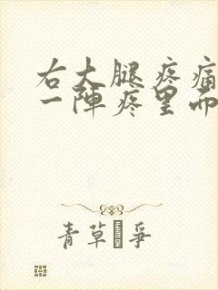 右大腿疼痛一阵一阵疼里面疼