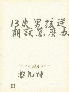 13岁男孩逆反期该怎么办