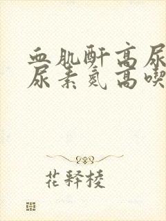 血肌酐高尿酸高尿素氮高吃什么药