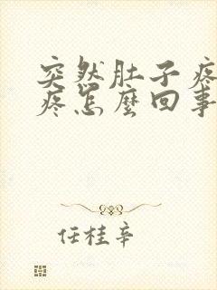 突然肚子疼屁眼疼怎么回事