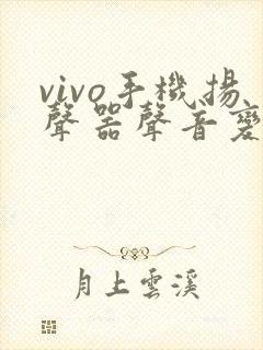 vivo手机扬声器声音变小了怎么办