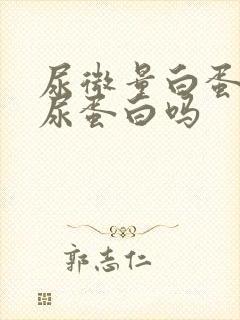 尿微量白蛋白是尿蛋白吗