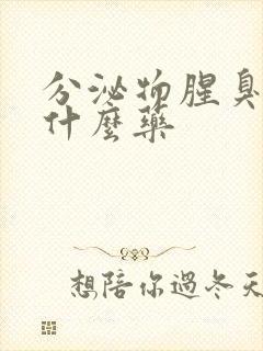 分泌物腥臭味用什么药