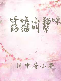 呼唤小猫咪出来的猫叫声