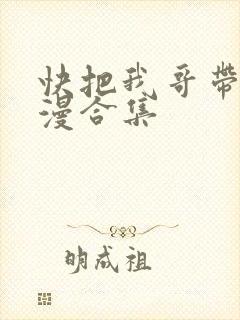快把我哥带走动漫合集
