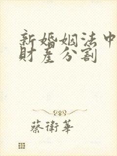 新婚姻法中关于财产分割