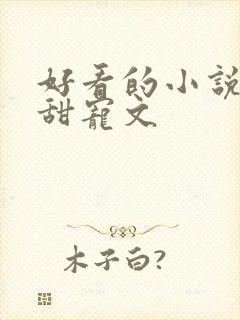 好看的小说推荐甜宠文