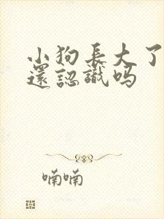 小狗长大了母狗还认识吗