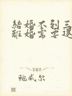 结婚不到三个月离婚需要退彩礼吗