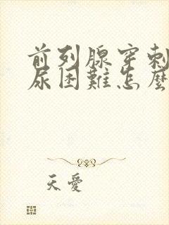 前列腺穿刺后排尿困难怎么办