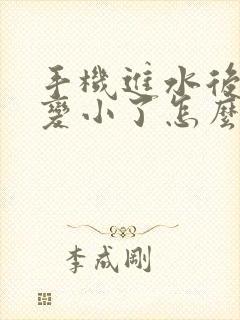 手机进水后声音变小了怎么办