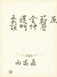 季迟金蔚原著小说叫什么