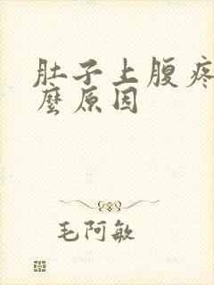 肚子上腹疼痛什么原因