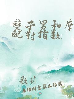 双子男和摩羯女配对指数