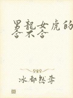 男龙女虎的属相合不合