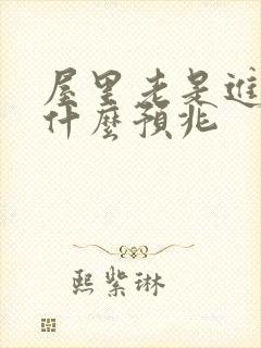 屋里老是进蛇是什么预兆