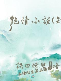 艳情小说(短篇)