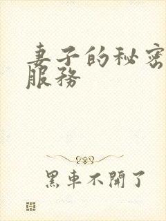 妻子的秘密按摩服务