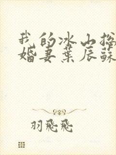 我的冰山总裁未婚妻叶辰苏夕月