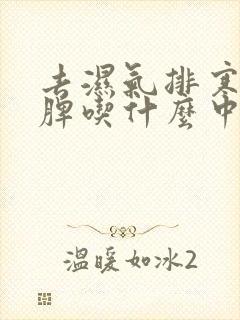 去湿气排寒毒健脾吃什么中成药