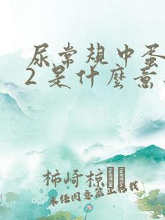 尿常规中蛋白质2 是什么意思