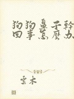 狗狗鼻子干怎么回事怎么办