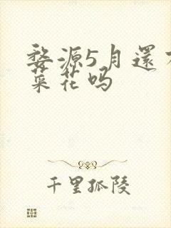 婺源5月还有油菜花吗