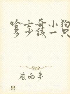 哈士奇小狗价格多少钱一只