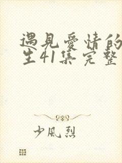 遇见爱情的利先生41集完整版