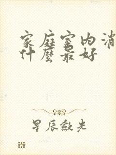 家庭室内消毒用什么最好