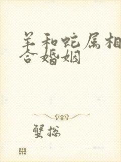 羊和蛇属相合不合婚姻