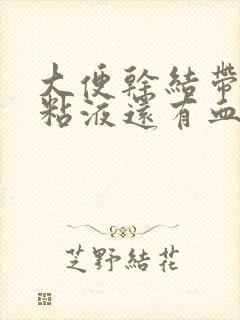 大便干结带白色粘液还有血