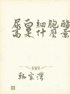 尿白细胞酯酶升高是什么意思