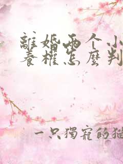 离婚两个小孩抚养权怎么判定